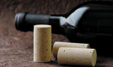 amorim cork 1