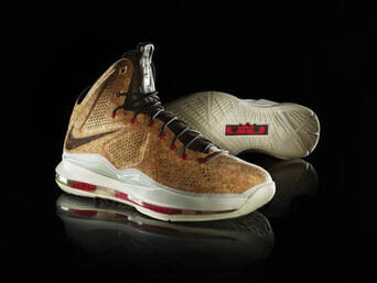 NIKE Le Bron X