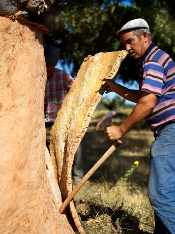 Höchstbezahlte Arbeit in der Landwirtschaft