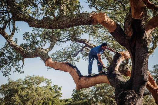 Höchstbezahlte Arbeit in der Landwirtschaft