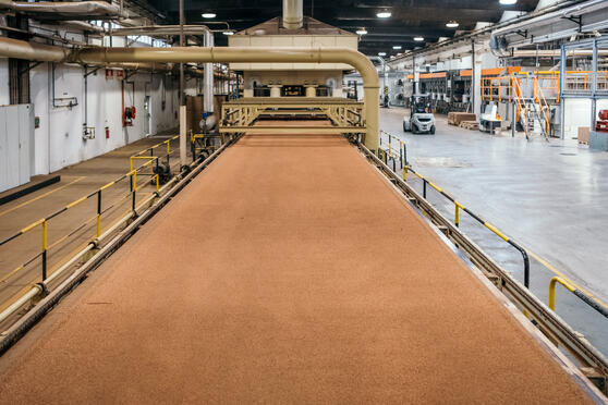 Virtuelle Kork-Reise in Portugal